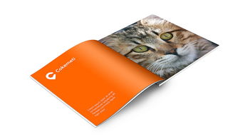 酷客美地企業(yè)形象設(shè)計(jì) 塑造品牌靈魂，引領(lǐng)市場(chǎng)潮流